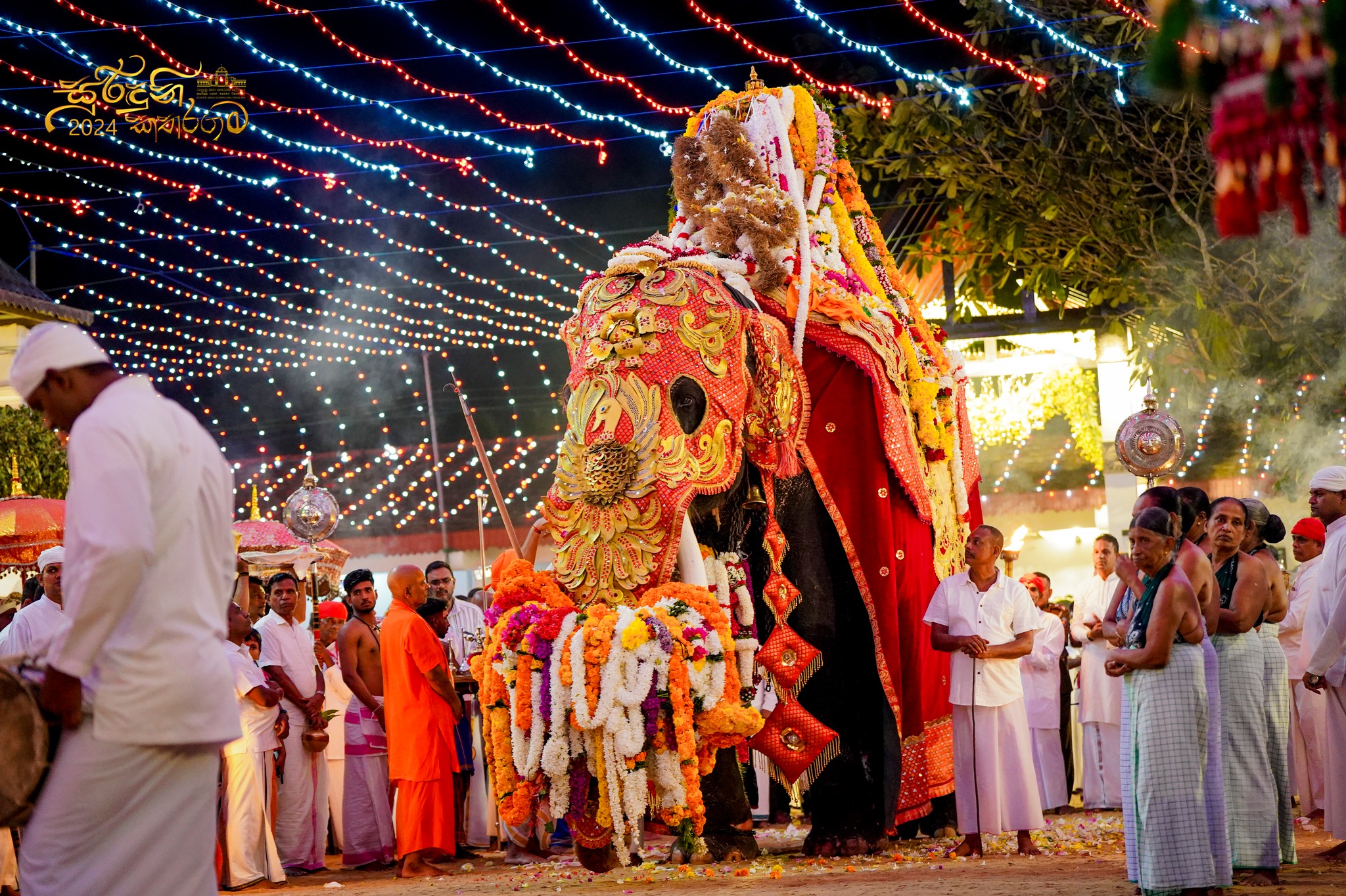 Esala Perahera Festival experience in Kataragama, Sri Lanka